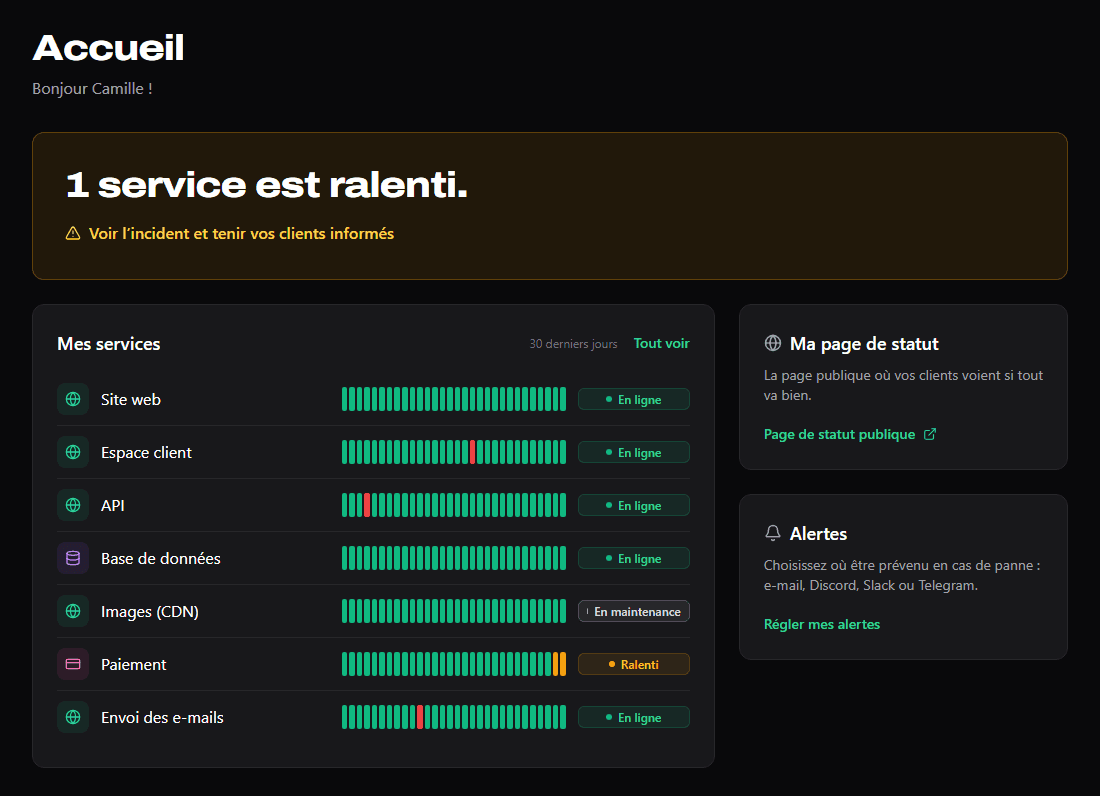 Accueil du tableau de bord NorminUp : un service ralenti signalé en haut, puis la liste des services et leur état.