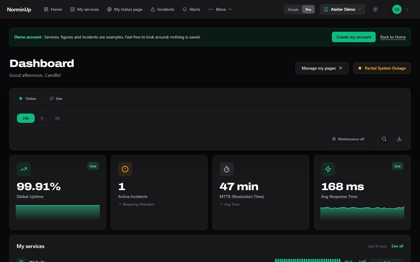 Pro view of the dashboard: overall availability, active incidents, time to resolve and average response time.